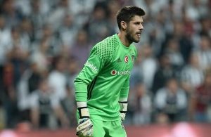 Fulham bid for Besiktas's Fabri